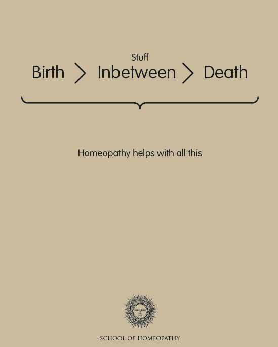 16320_895034657190884_2780586903641923489_n